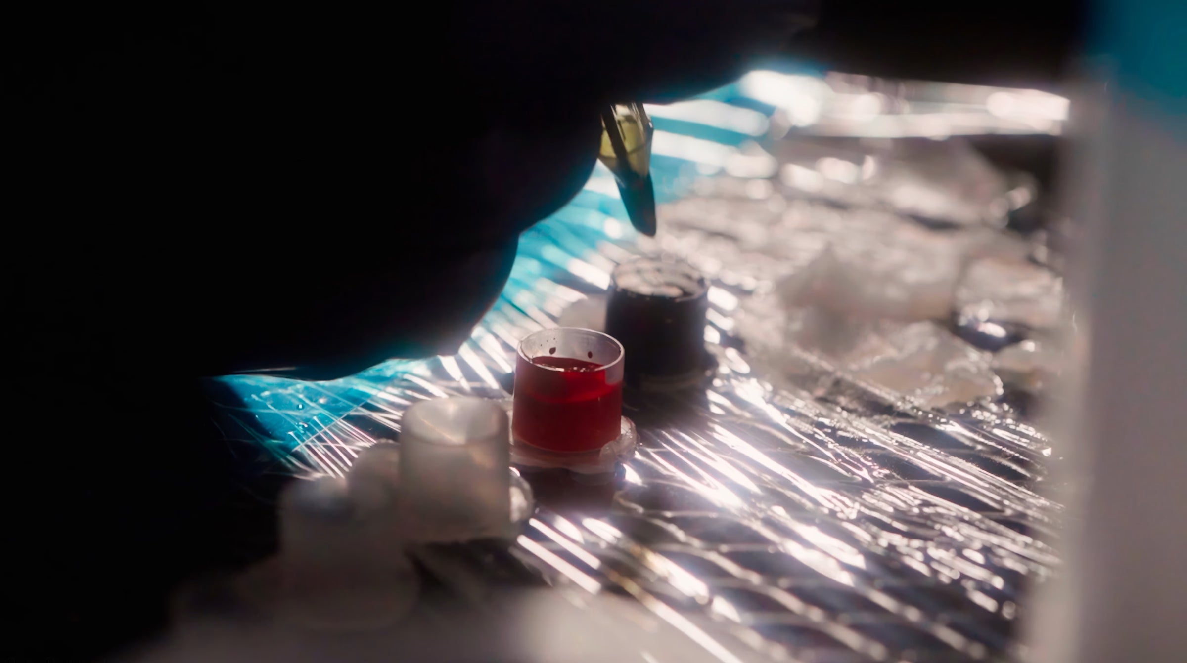 Mark of A Texan Capsule