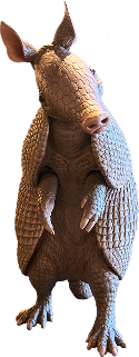 Armadillo